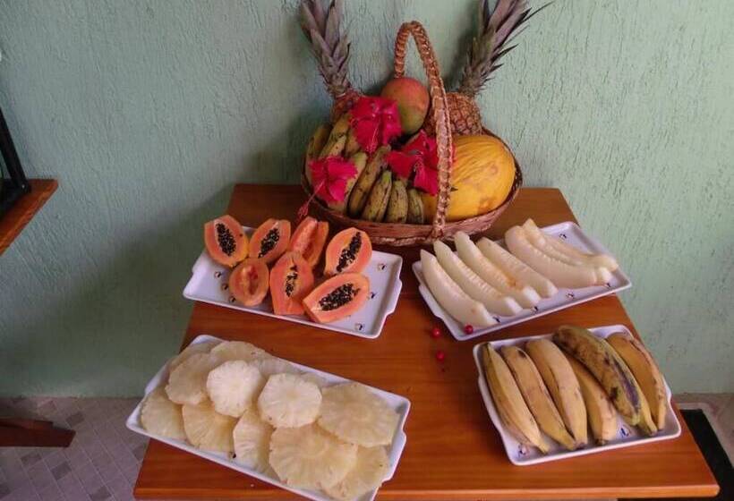 Отель Pousada Horizonte Dos Borbas