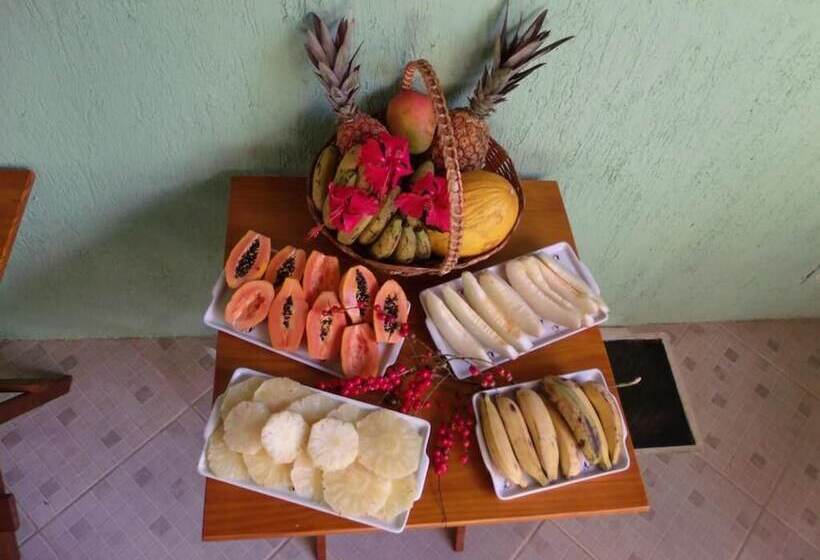 Отель Pousada Horizonte Dos Borbas