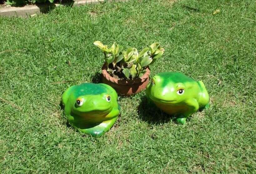 Отель Pousada Horizonte Dos Borbas