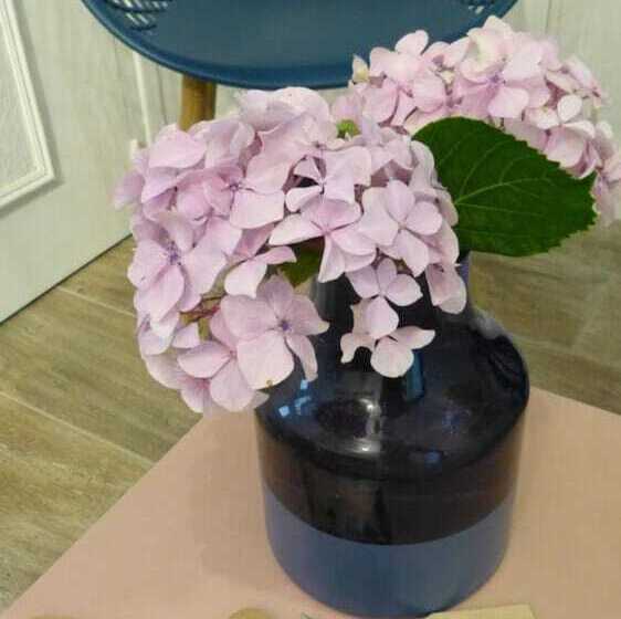 هتل Restaurant La Maison