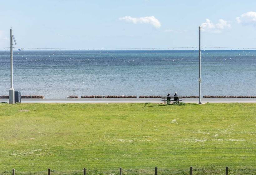 هتل The Commodore