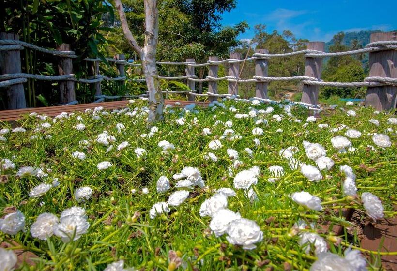 בית מלון כפרי The Waterway Villa