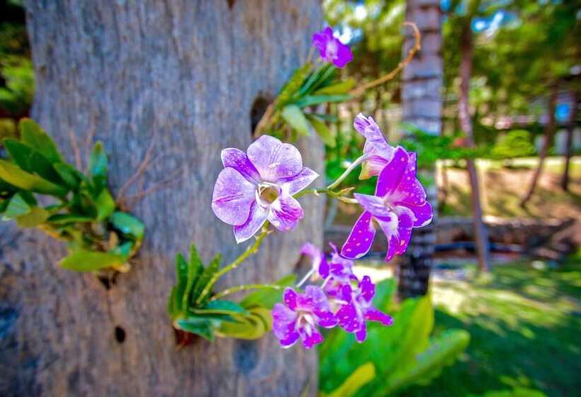 בית מלון כפרי The Waterway Villa