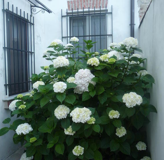 L'adele Bed & Breakfast