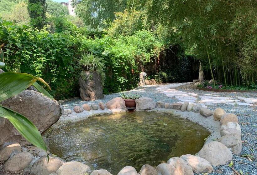 L'isolo B&b E Case Vacanza