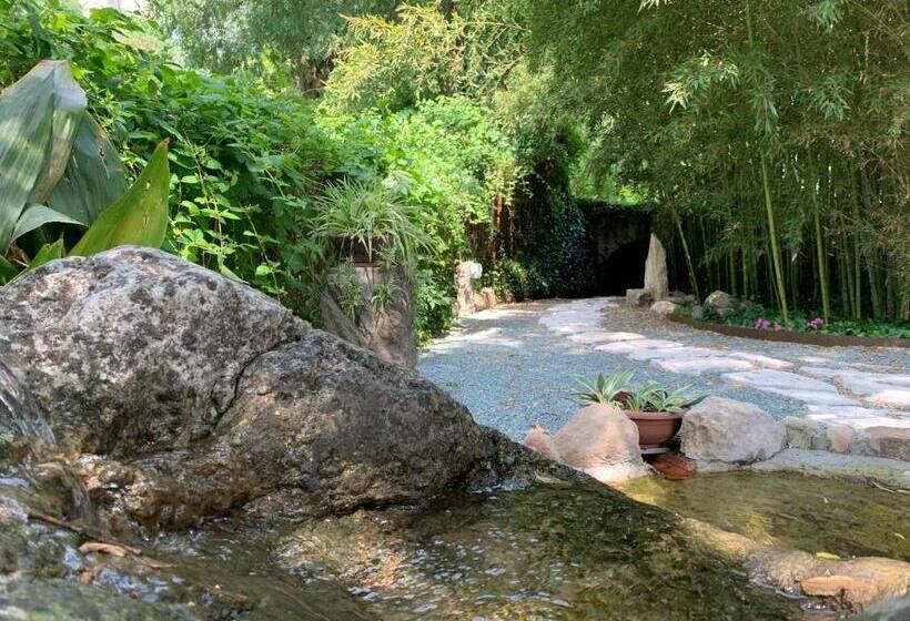 L'isolo B&b E Case Vacanza