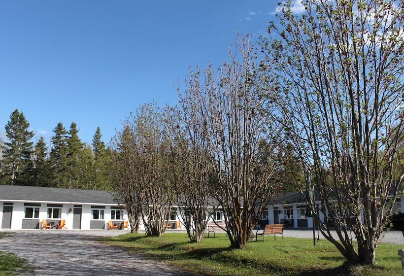 Motel De L Anse Et Camping Rimouski