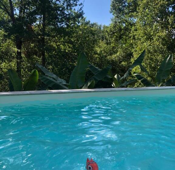 펜션 Chambres Les Plantous De Severo