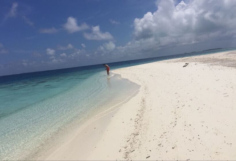 پانسیون Reyva Inn