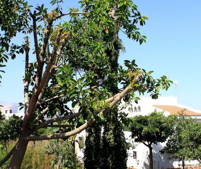 膳宿费 Riad Dar Achaach