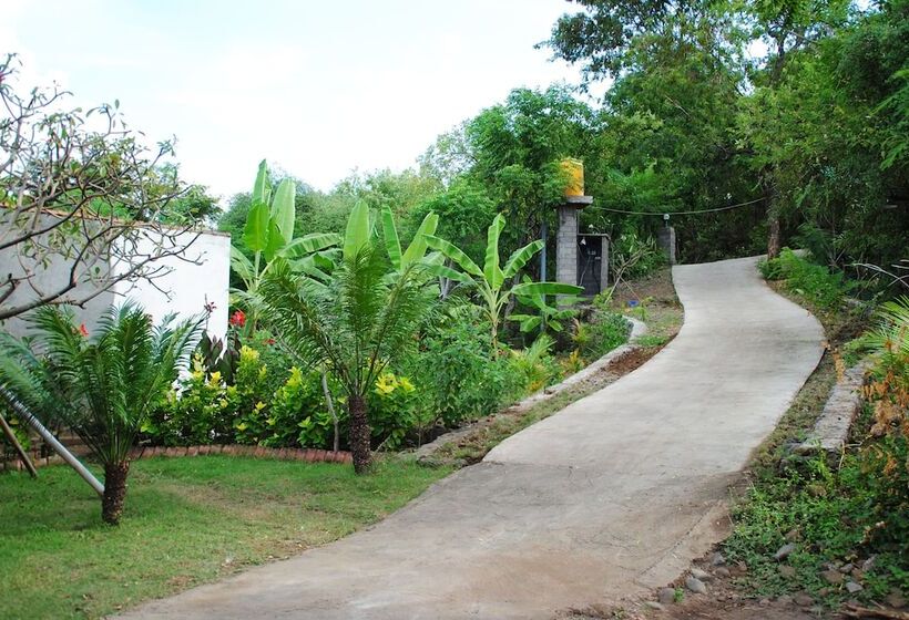 بنسيون Tiara Homestay Pemuteran Bali