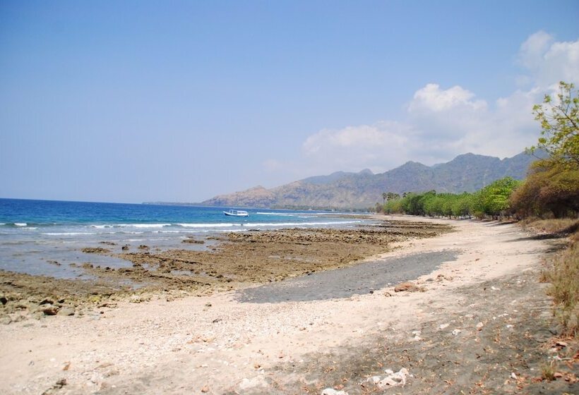 بنسيون Tiara Homestay Pemuteran Bali