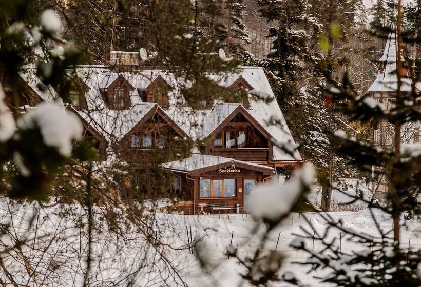 渡假胜地  Penzion Snezienka