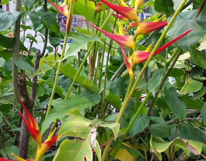 Sanctuary Condominiums And Retreat