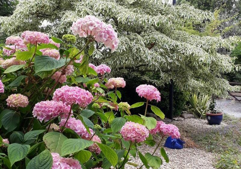 Stoneleigh Barn Bed And Breakfast