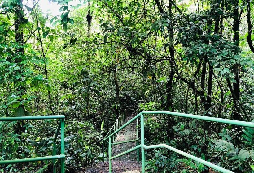 Avita Lodge Hotel De Montaña