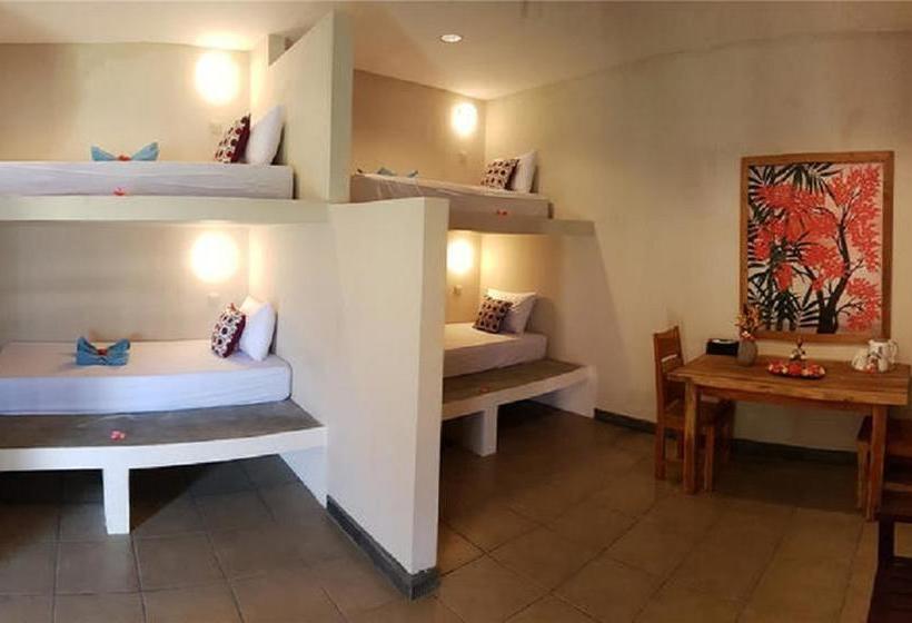 Pebble & Fins Bali Dive Resort