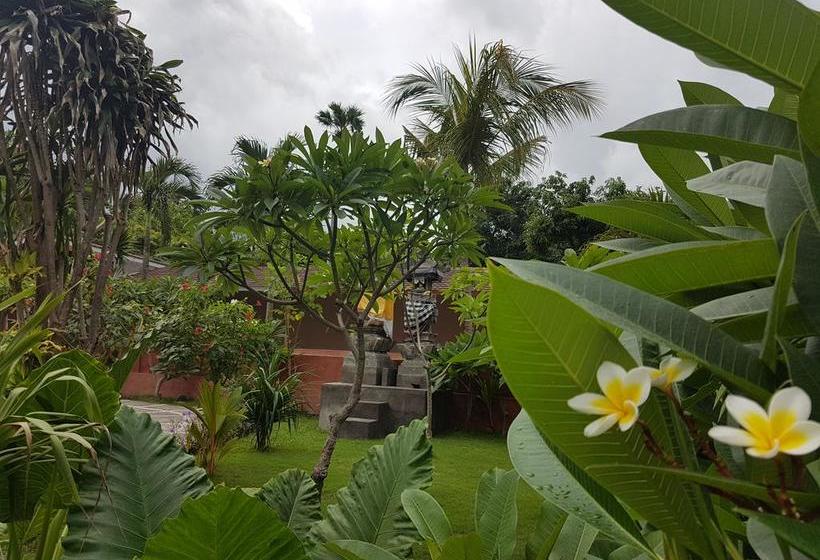 Pebble & Fins Bali Dive Resort