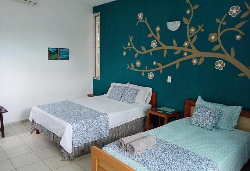 ベッドアンドブレックファースト Casa Del Aire