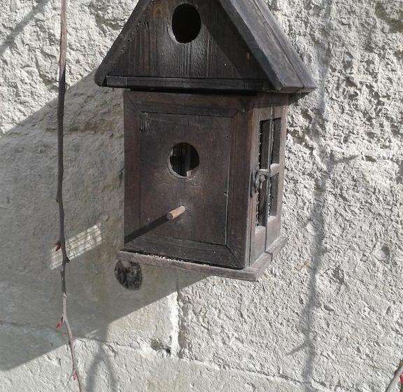 住宿加早餐 Chambres D Hôtes Bleynieruine De Rome