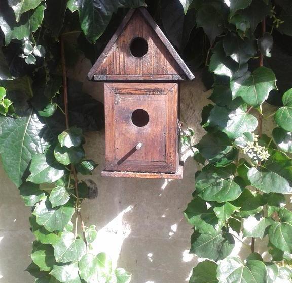 住宿加早餐 Chambres D Hôtes Bleynieruine De Rome