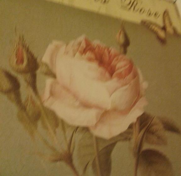 住宿加早餐 Chambres D Hôtes Bleynieruine De Rome