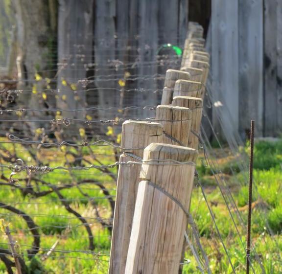 مبيت وإفطار Champagne Gilmaire Etienne