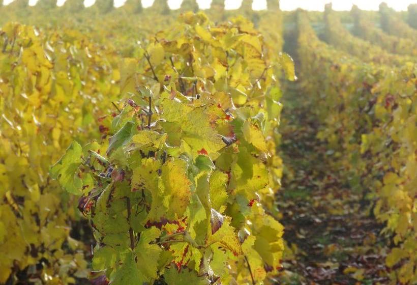 مبيت وإفطار Champagne Gilmaire Etienne