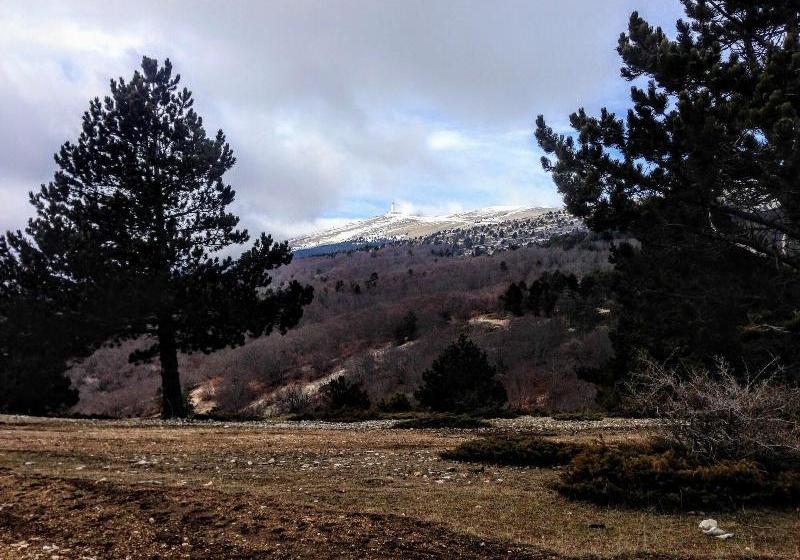 مبيت وإفطار Les Maquinols Estate