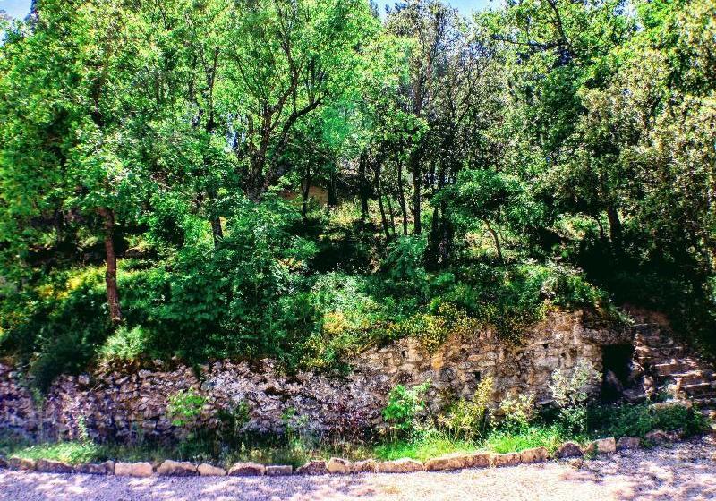 ベッドアンドブレックファースト Les Maquinols Estate