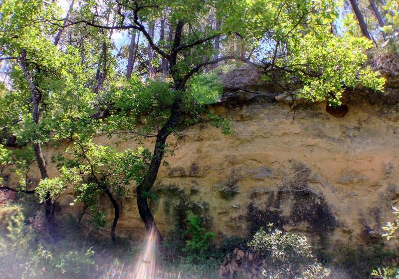 مبيت وإفطار Les Maquinols Estate