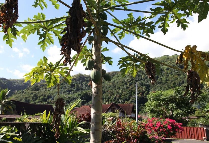 مبيت وإفطار Marama Lodge Tahiti