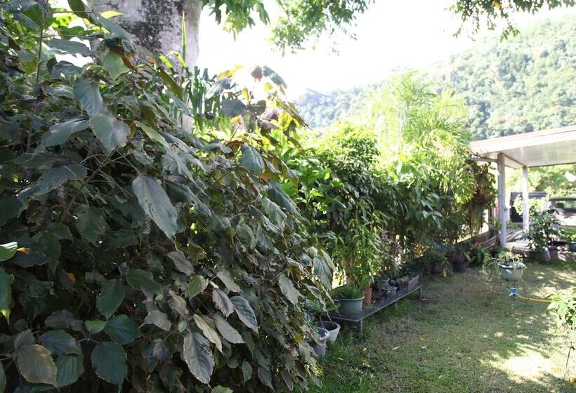 مبيت وإفطار Marama Lodge Tahiti