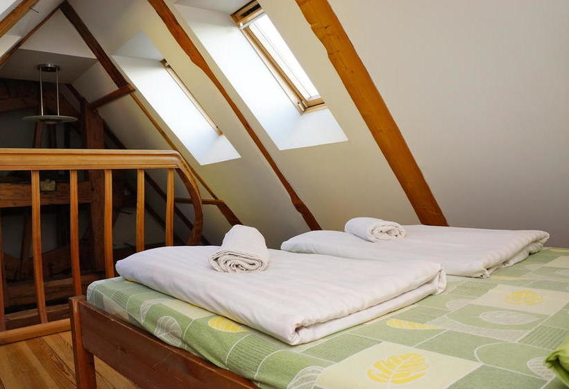 Doma Hostel