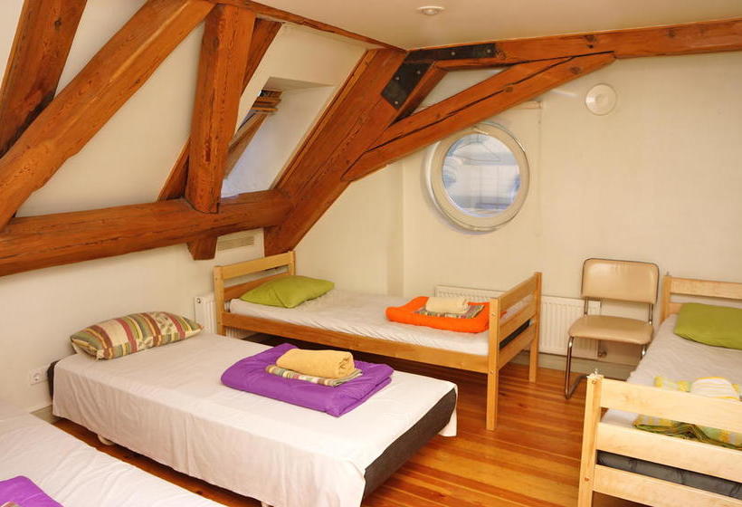 Doma Hostel