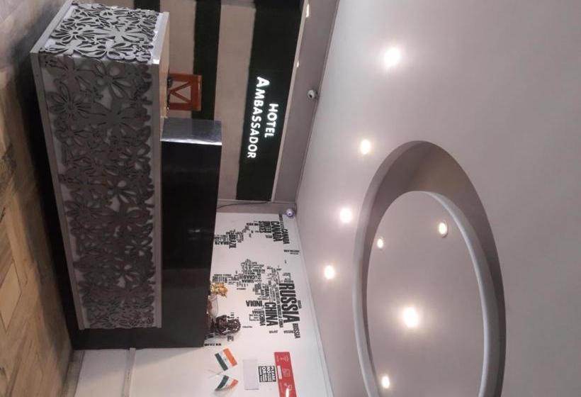 בית מלון כפרי Ambassador