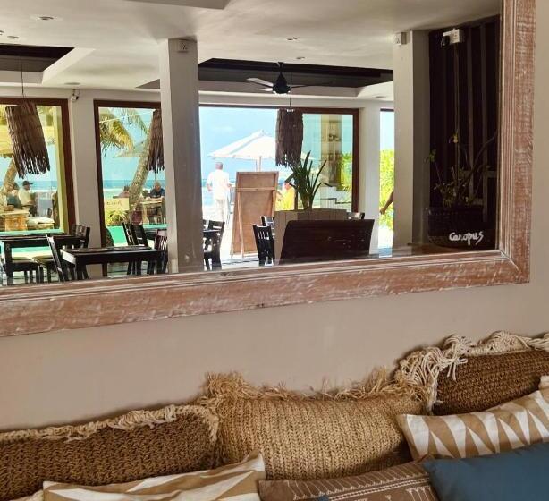 هتل Canopus Retreat Thulusdhoo