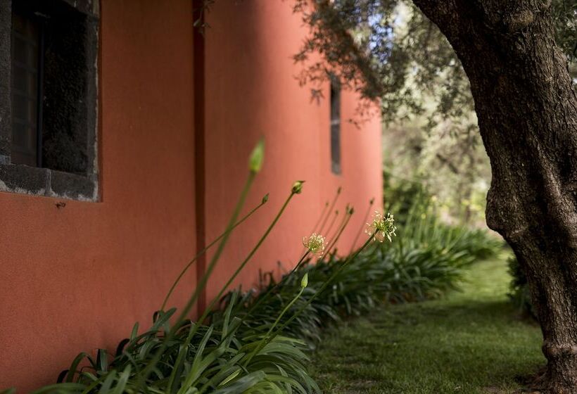 فندق Casa Arrigo