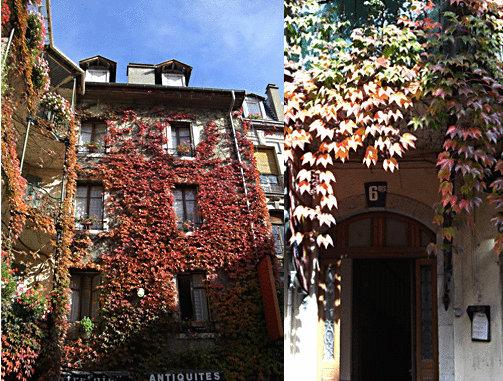 בית מלון כפרי Central