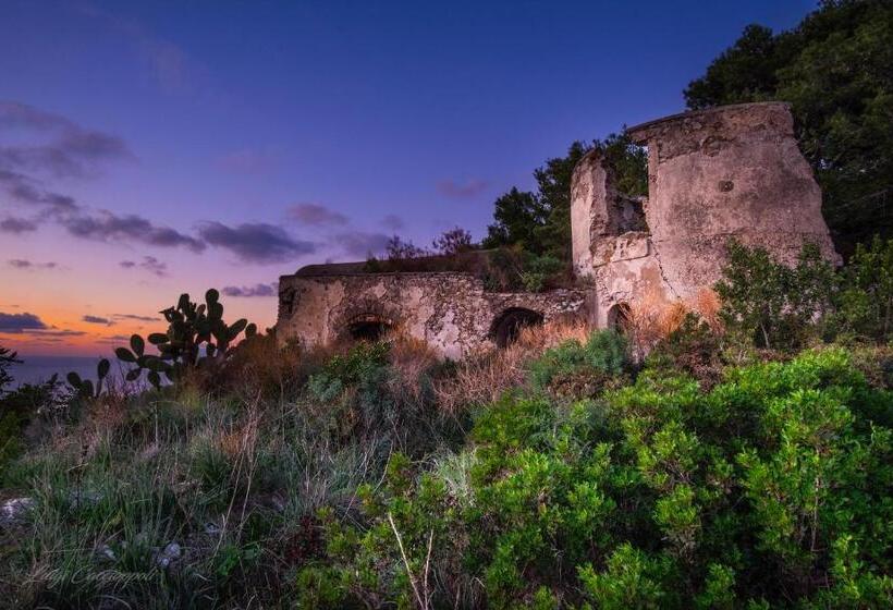 فندق Fortino B&b Capri