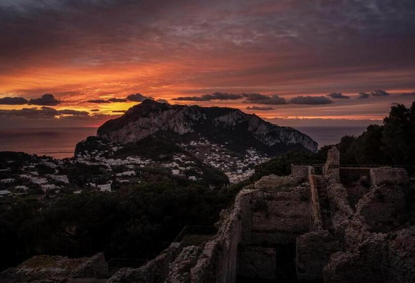فندق Fortino B&b Capri