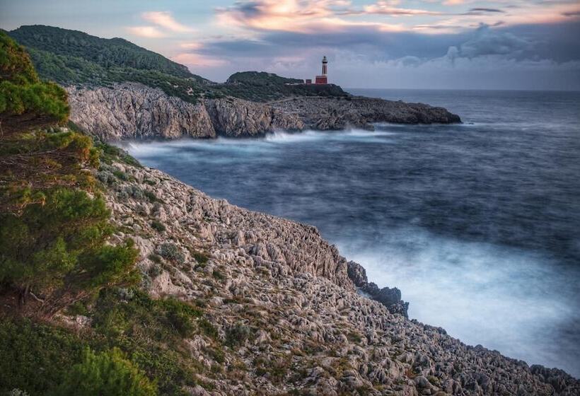 فندق Fortino B&b Capri