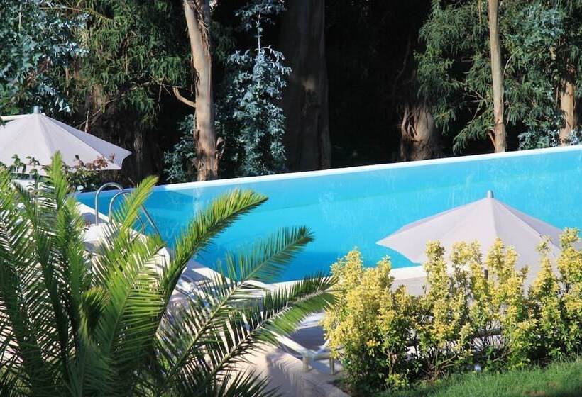 Отель Hôtel Et Résidence Costa Rossa