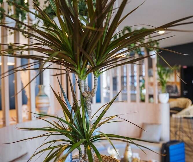 酒店 Ibis Budget Rouen Centre Rive Gauche