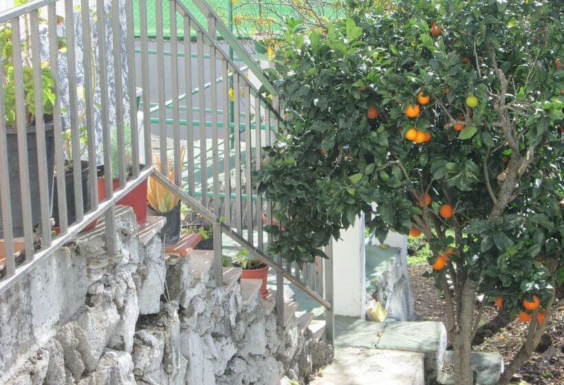 בית מלון כפרי La Palma Hostel By Pension Central