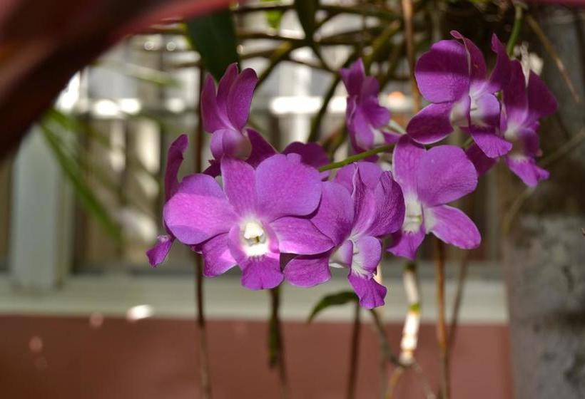 호텔 Lush Royale a North Beach Village Resort - Gay Men Only