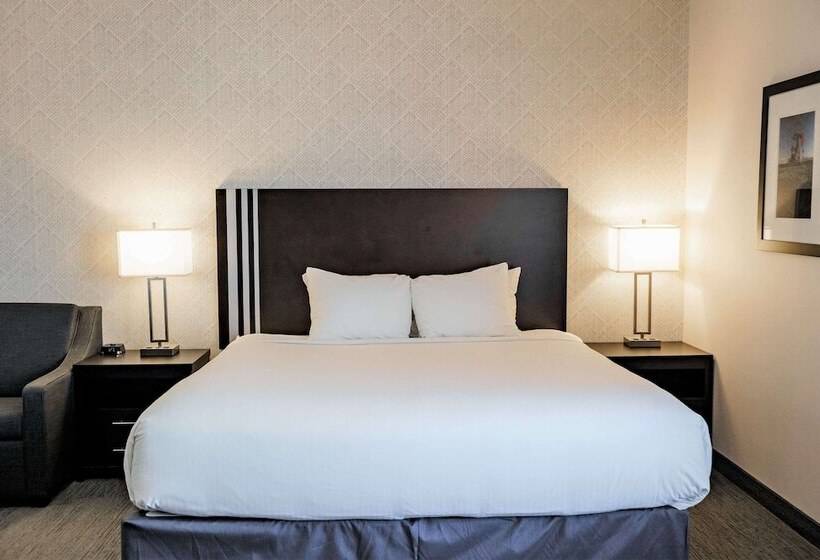 בית מלון כפרי Park Inn By Radisson Edmonton Airport