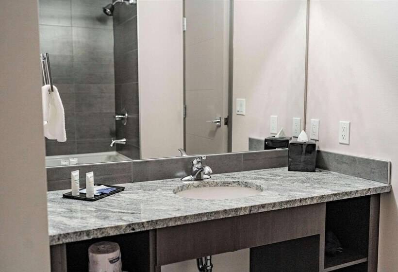 فندق Park Inn By Radisson Edmonton Airport