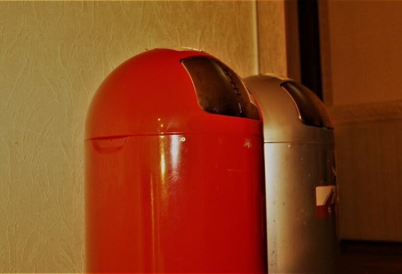 בית מלון כפרי Pension Nugget Inn