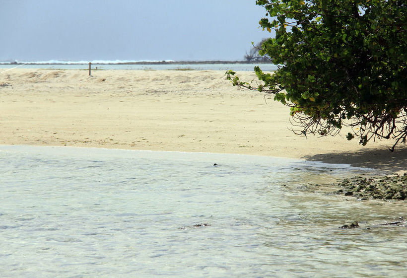 Fotos del hotel Rip Tide Beach:  15